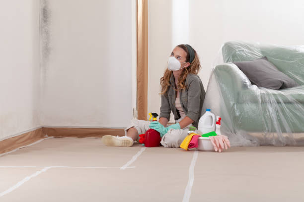 Reliable Mold Remediation contractor in Newport, NC by Cheap Mold Removal